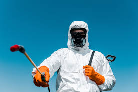 Best Termite Inspection and Treatment  in , OK